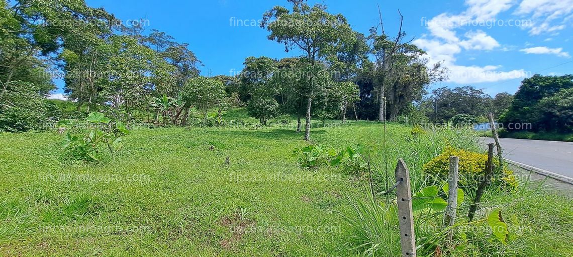 Fotos de Vendo lote en el municipio de Chitaraque - Boyacá