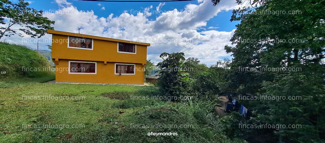 Fotos de A la venta finca con casa en Gambita, Santander, Colombia