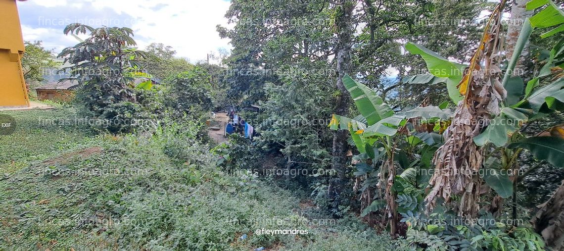 Fotos de A la venta finca con casa en Gambita, Santander, Colombia