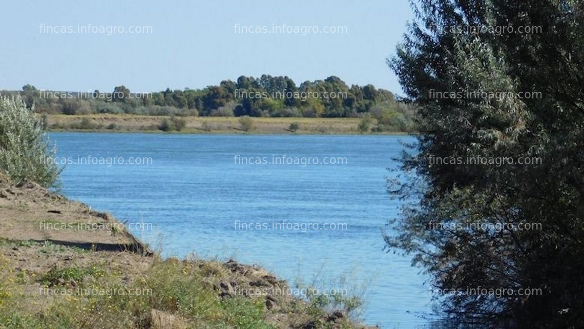 Fotos de Se vende finca en Argentina 1.400 has con riego