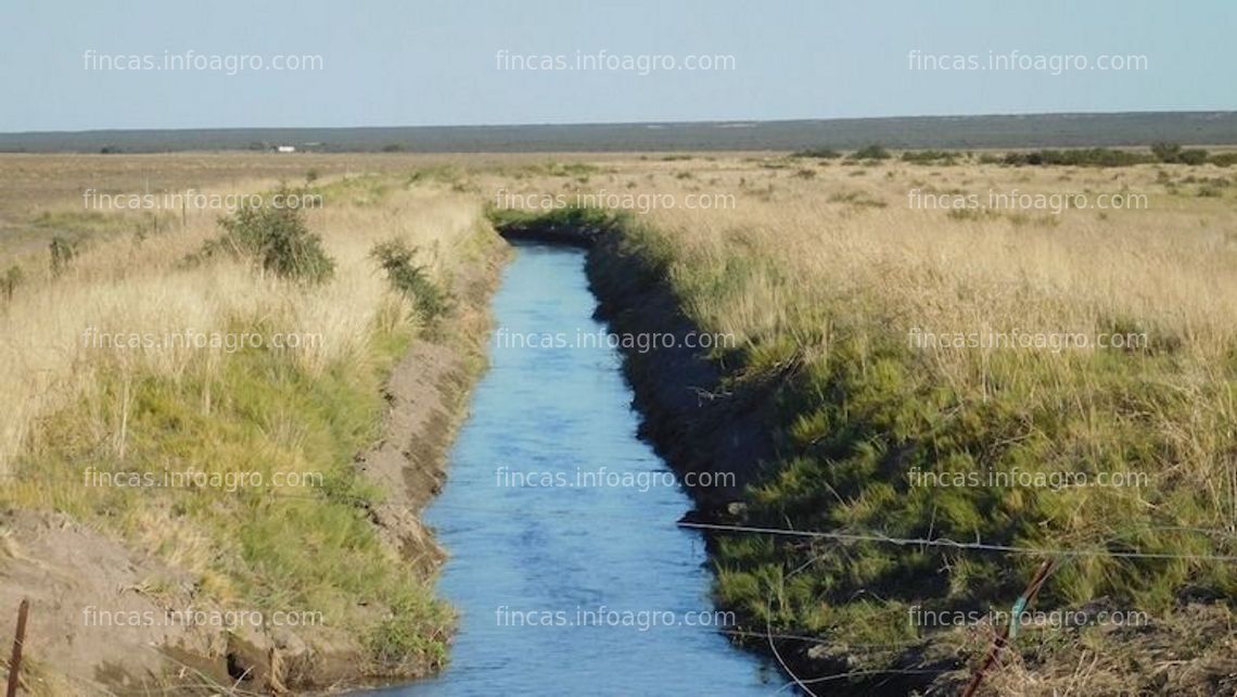 Fotos de Se vende finca en Argentina 1.400 has con riego