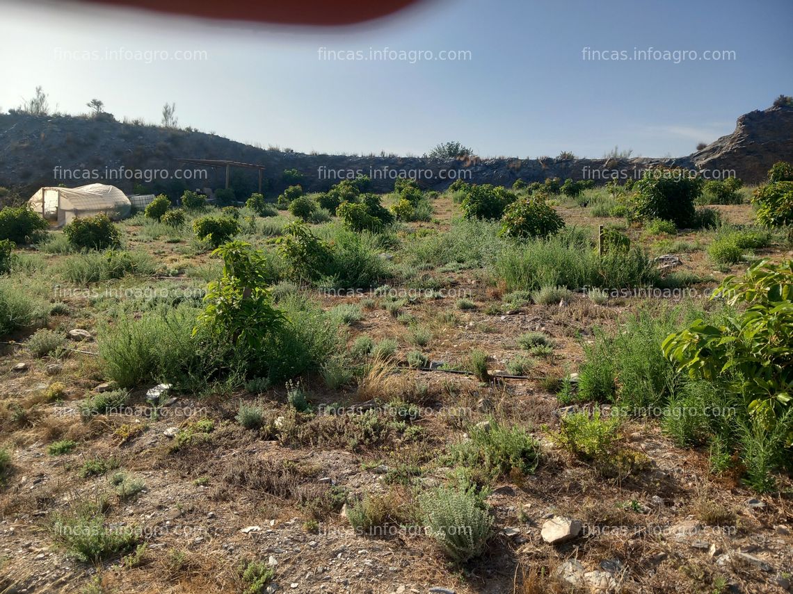 Fotos de Se vende finca rústica en Motril