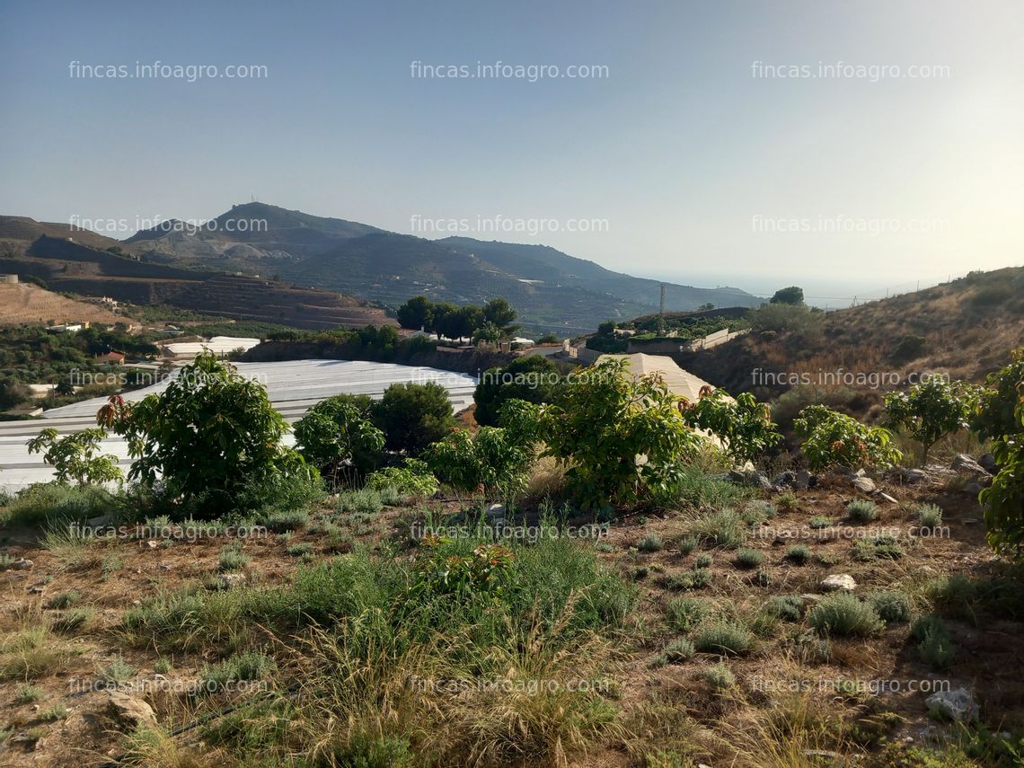 Fotos de Se vende finca rústica en Motril