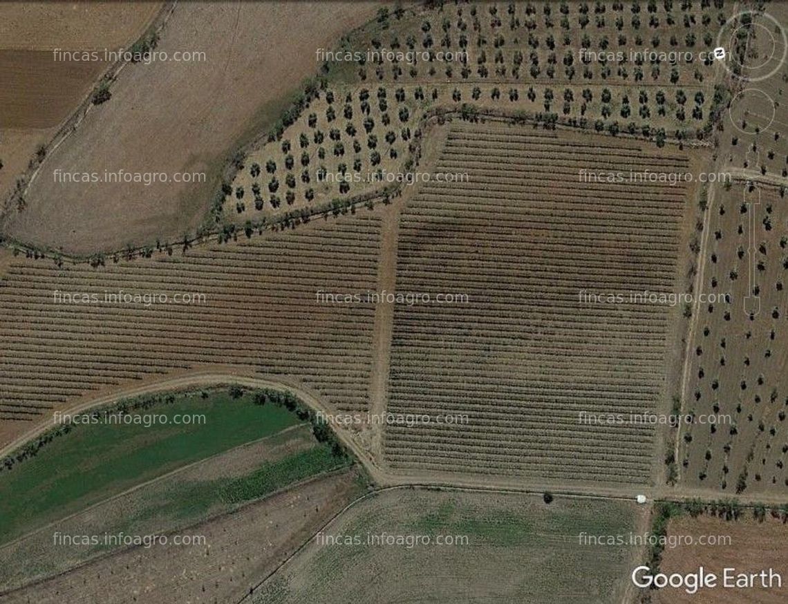 Fotos de A la venta finca de regadío en el altiplano de Sierra Nevada