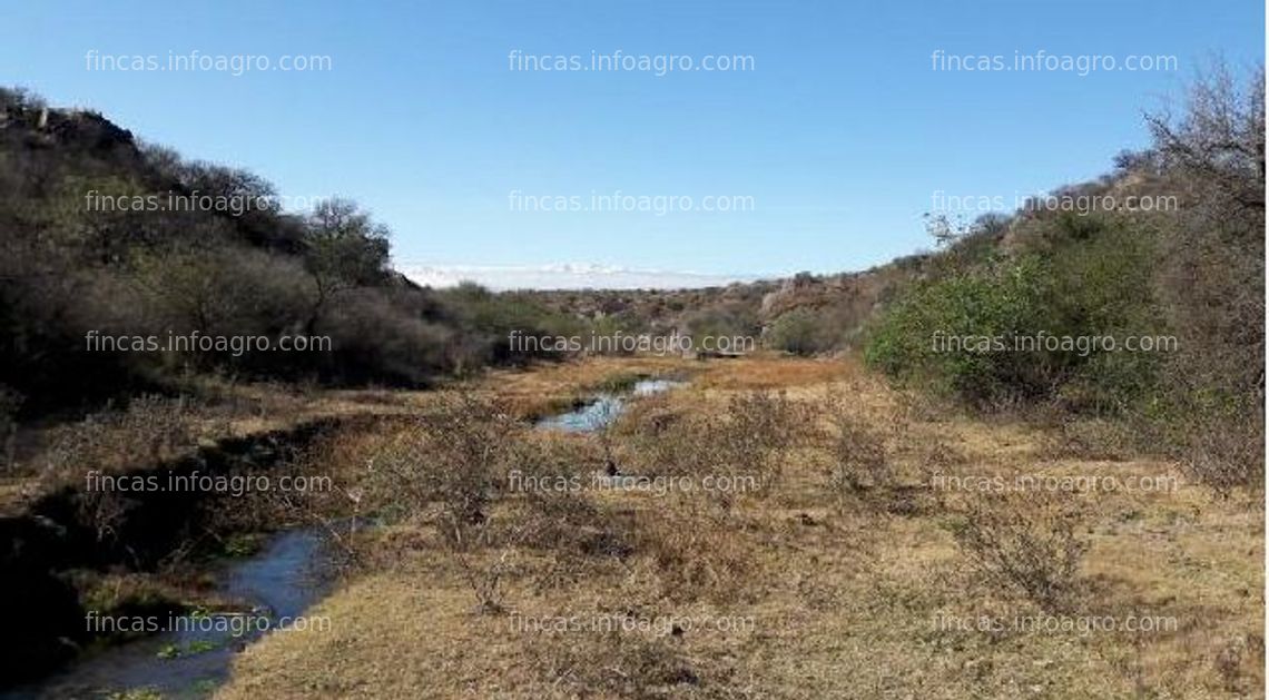 Fotos de Se vende en Argentina finca de 3.170 hectáreas agrícola y ganadera