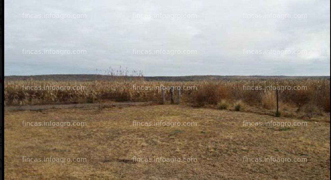 Fotos de Se vende en Argentina finca de 3.170 hectáreas agrícola y ganadera