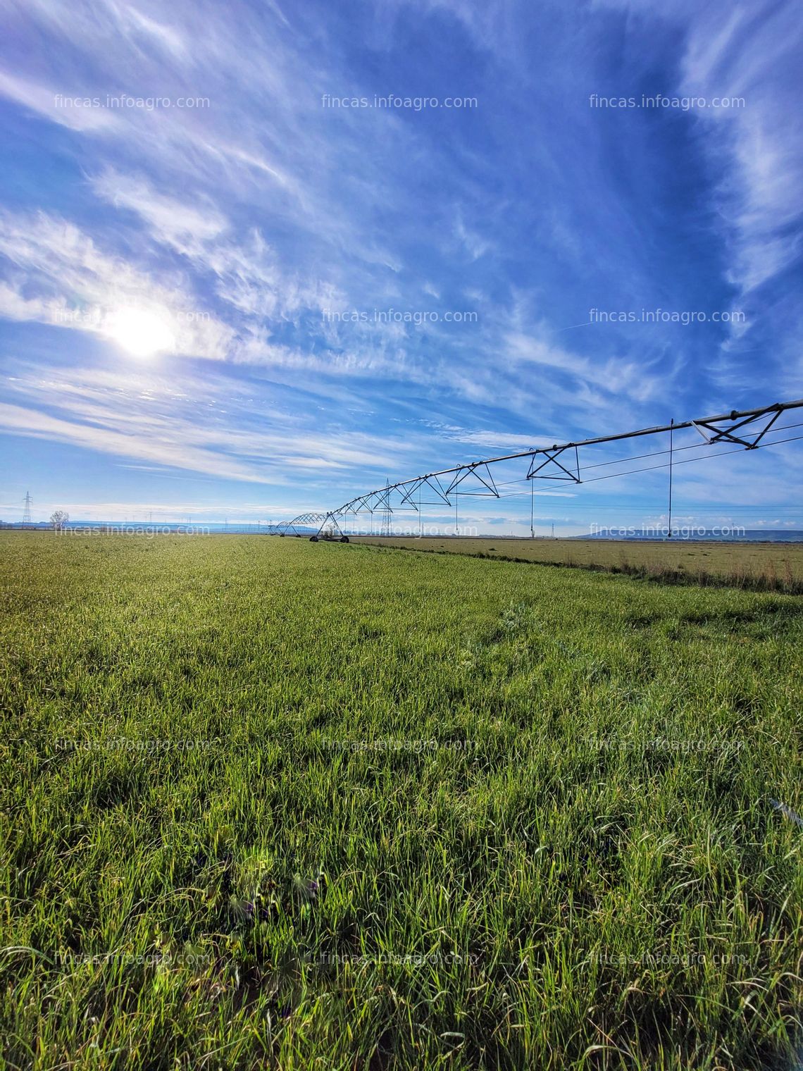 Fotos de A la venta ¡PARA ENTRAR A REGAR! Finca rústica de regadío con cultivo de trigo multiplicación, derechos de PAC, equipada con Pivot Sectorial puesto en 2022, y generador integrado.