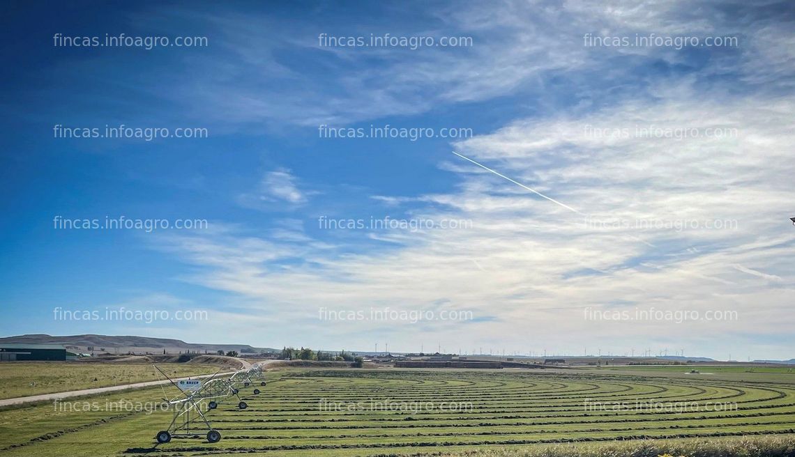 Fotos de A la venta ¡PARA ENTRAR A REGAR! Finca rústica de regadío con cultivo de trigo multiplicación, derechos de PAC, equipada con Pivot Sectorial puesto en 2022, y generador integrado.