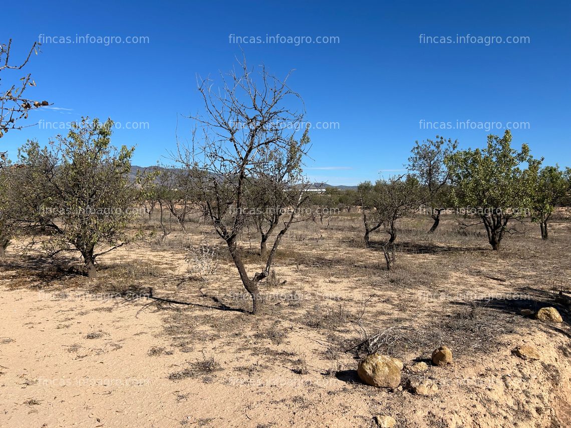 Fotos de Se vende Parcela rústica en Los Paganes, Fuente Álamo