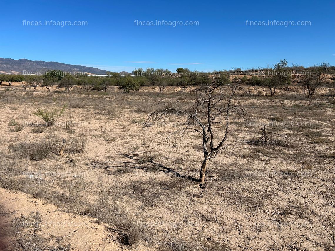Fotos de Se vende Parcela rústica en Los Paganes, Fuente Álamo