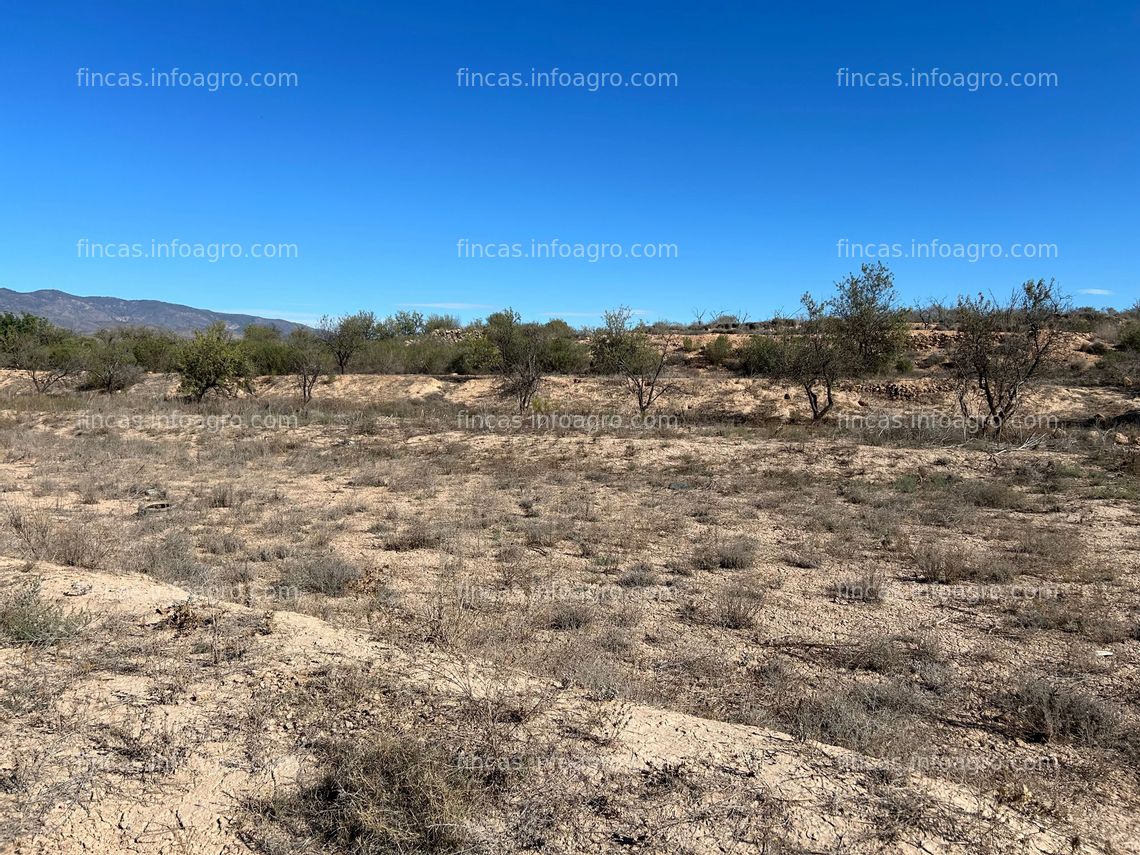 Fotos de Se vende Parcela rústica en Los Paganes, Fuente Álamo