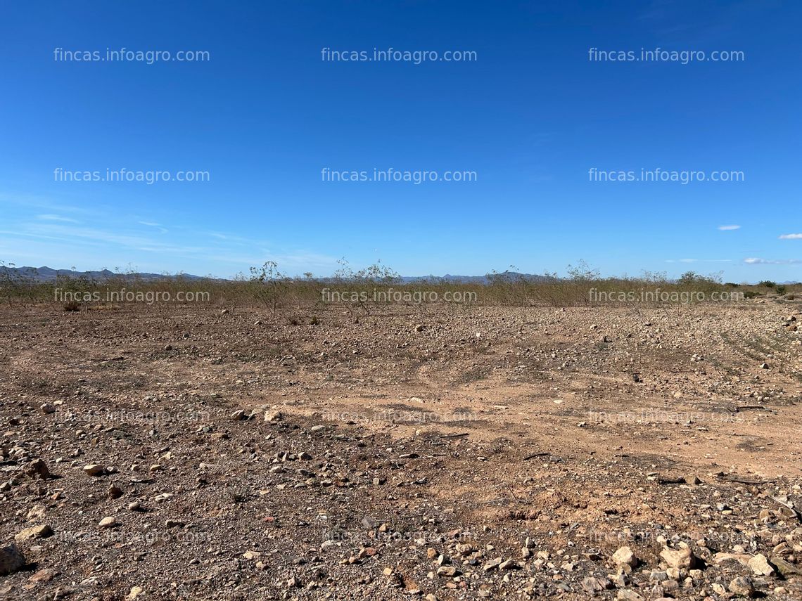 Fotos de Se vende Parcela rústica en El Escobar, Fuente Álamo