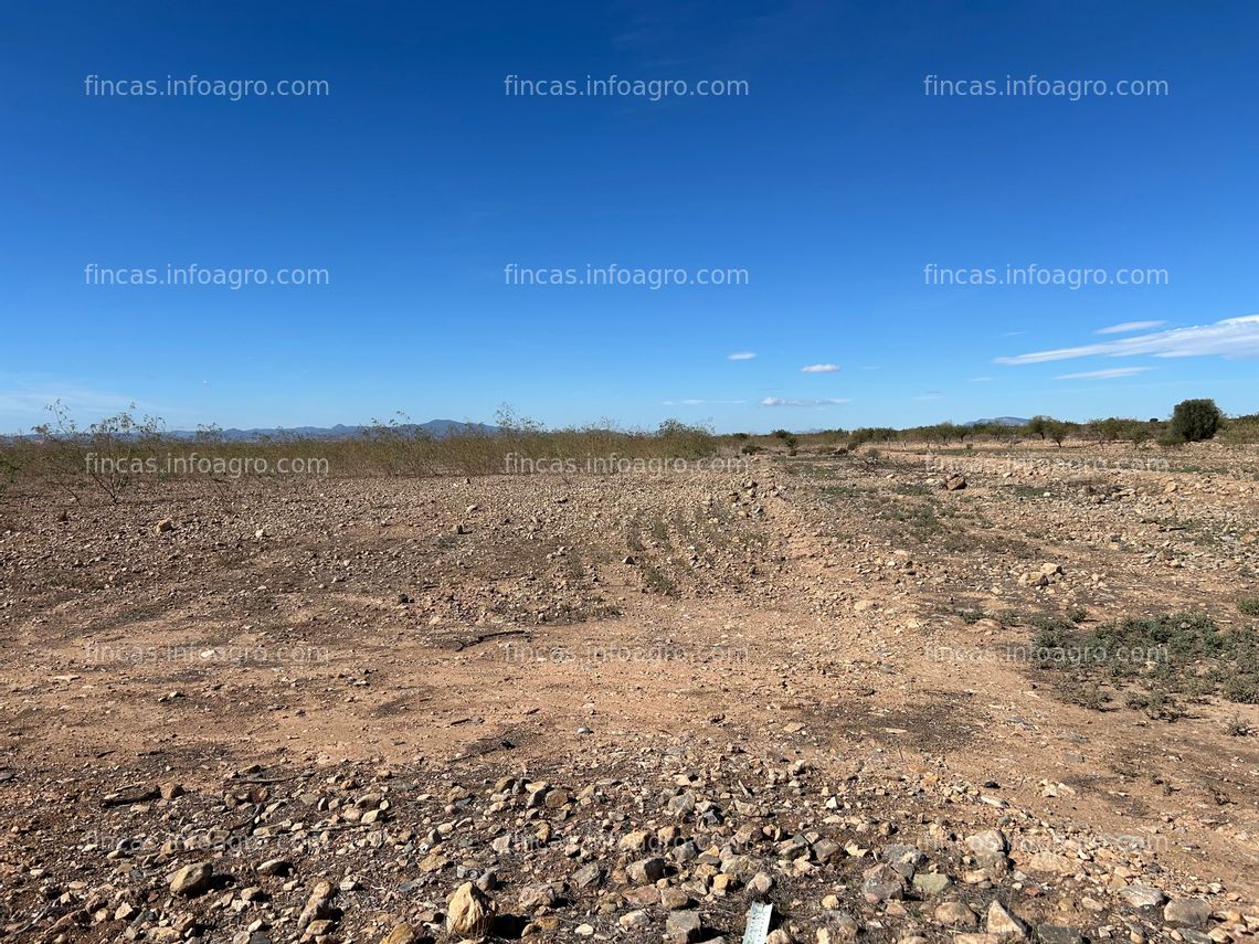 Fotos de En venta  Parcela rústica en El Escobar, Fuente Álamo