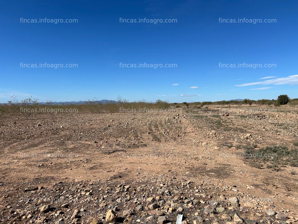 Fotos de Se vende Parcela rústica en El Escobar, Fuente Álamo