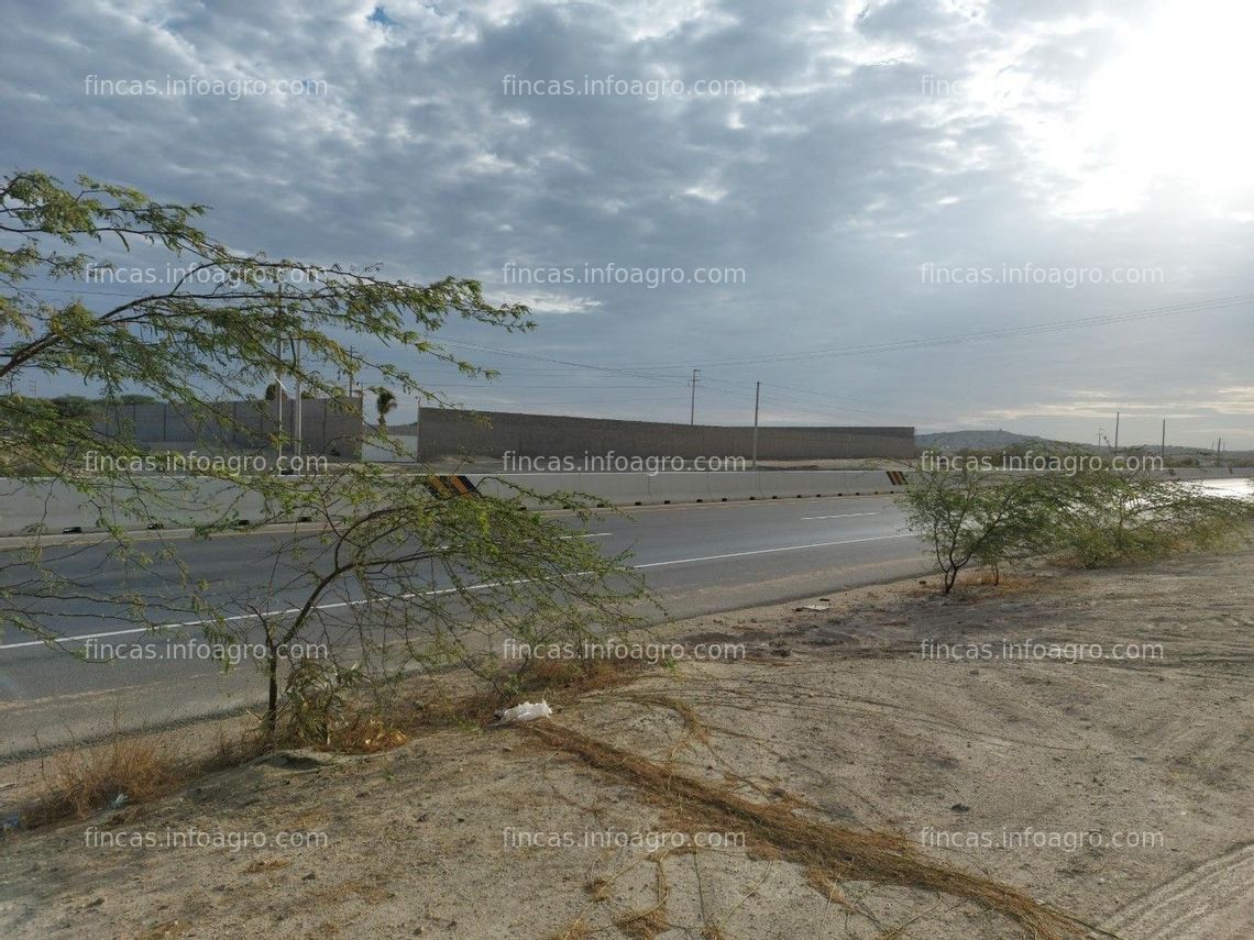 Fotos de Vendo TERRENO ERIAZO EN PIURA - KM 6 CARRETERA INTEROCEANICA PIURA PAITA