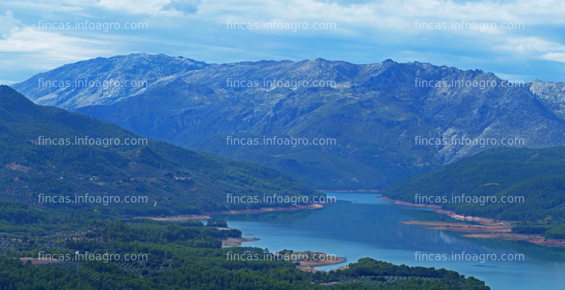 Fotos de En venta  finca forestal y cinegética con cortijo "La Escalera"