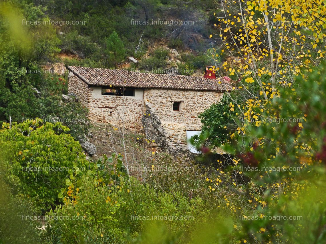 Fotos de En venta  finca forestal y cinegética con cortijo "La Escalera"