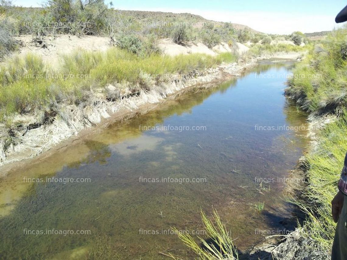 Fotos de Se vende en La Patagonia Argentina 11.500 hectáreas - INFORMACION en España