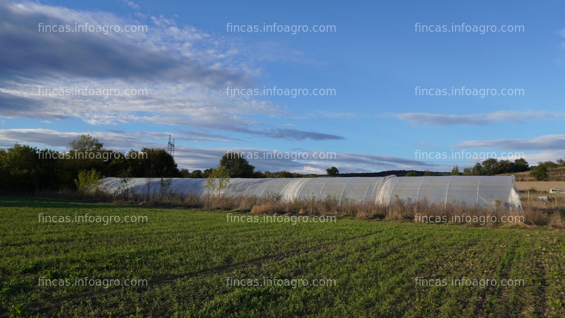 Fotos de Se vende por jubilación: invernadero