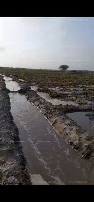 A la venta terreno agricola en zona cañera