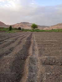 Fotos de A la venta terreno agrícola