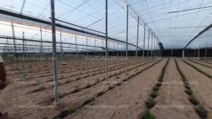 En venta invernadero en Motril