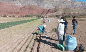 En venta  Predios rural