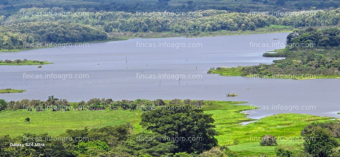 Fotos de En venta  PANAMA Fincas Tituladas Frente al Lago Financiadas SIN INTERES