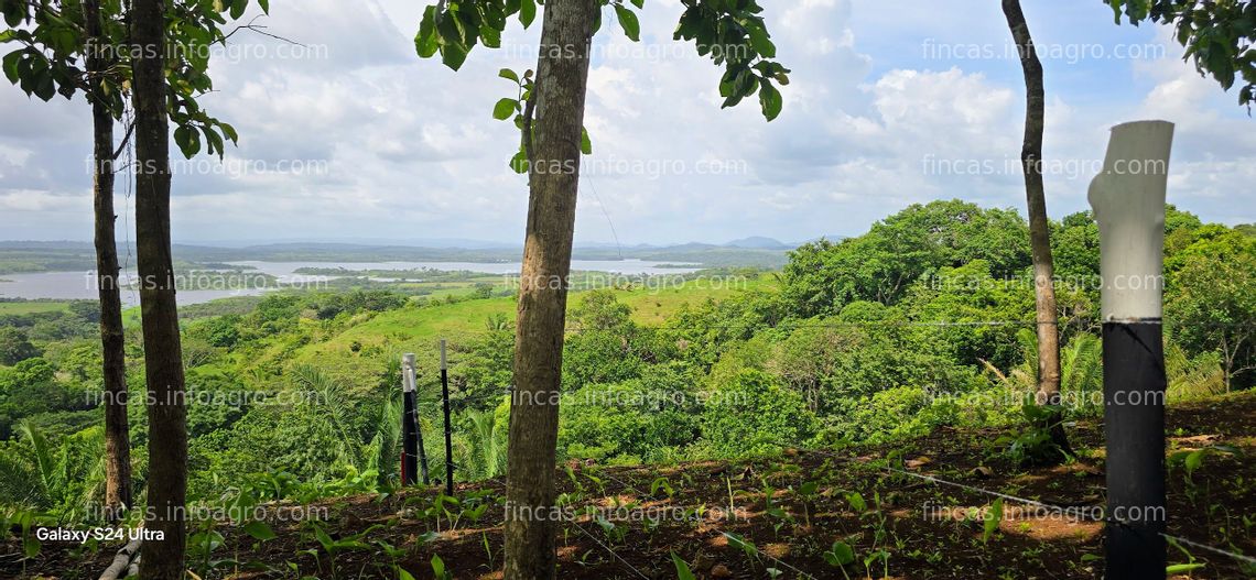 Fotos de En venta  PANAMA Fincas Tituladas Frente al Lago Financiadas SIN INTERES