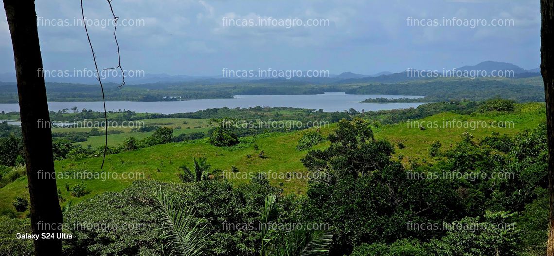 Fotos de En venta  PANAMA Fincas Tituladas Frente al Lago Financiadas SIN INTERES