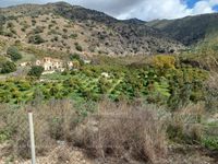Fotos de Vendo Finca de aguacates cerca de Málaga