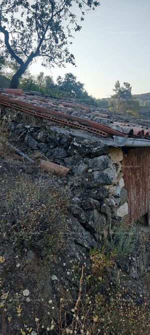 Vendo Viñedo DOQ Priorat. CCPAE