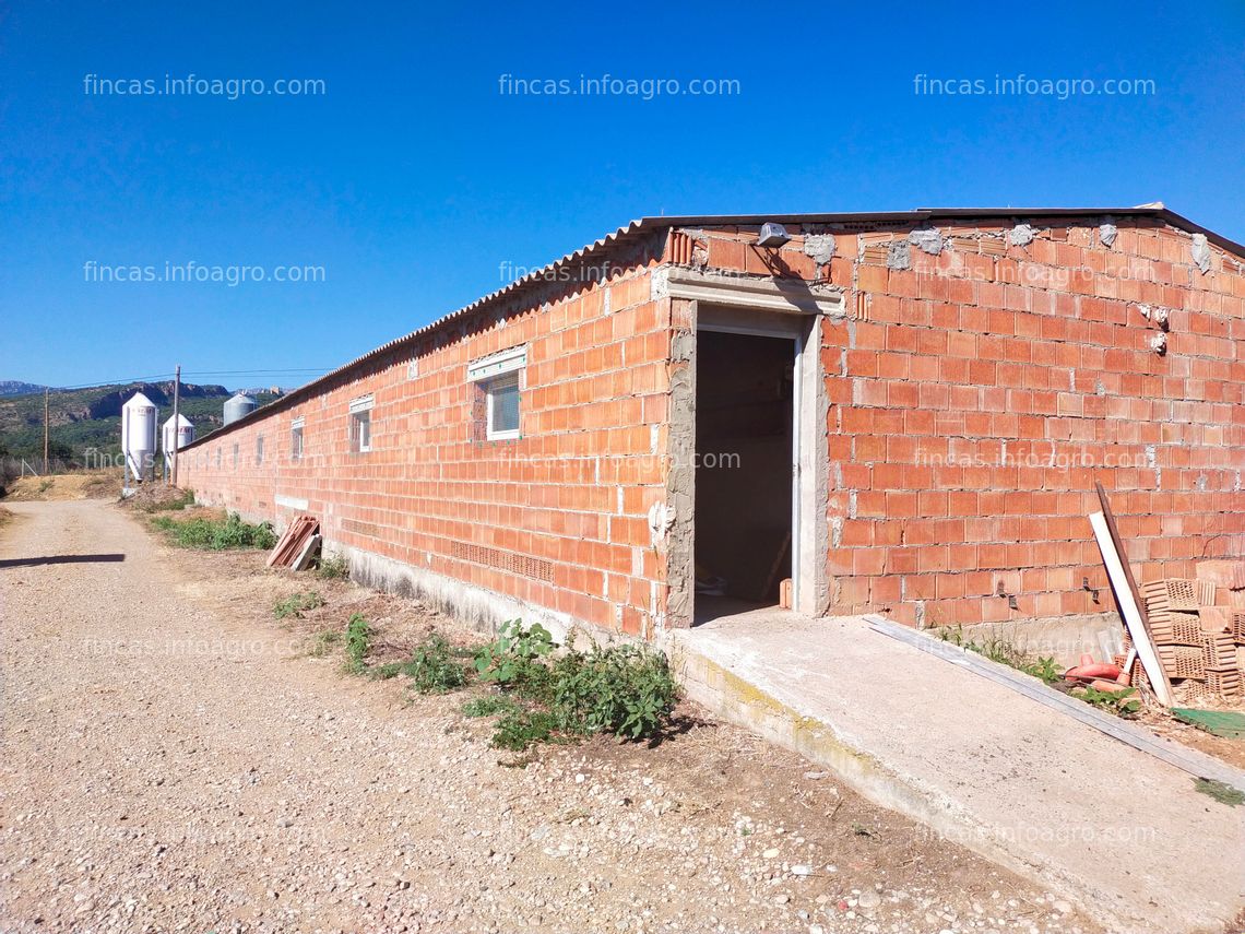 Fotos de A la venta Granja con capacidad para 800 cerdas - Pallars Jussà - RA121