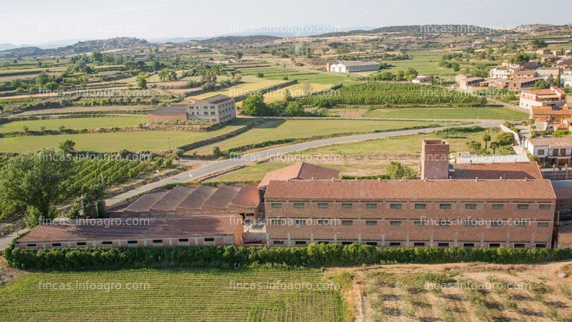 Fotos de A la venta granja con capacidad para 2.000 cerdos + 3 viviendas + Almacenes en Penelles (Noguera) - RA066