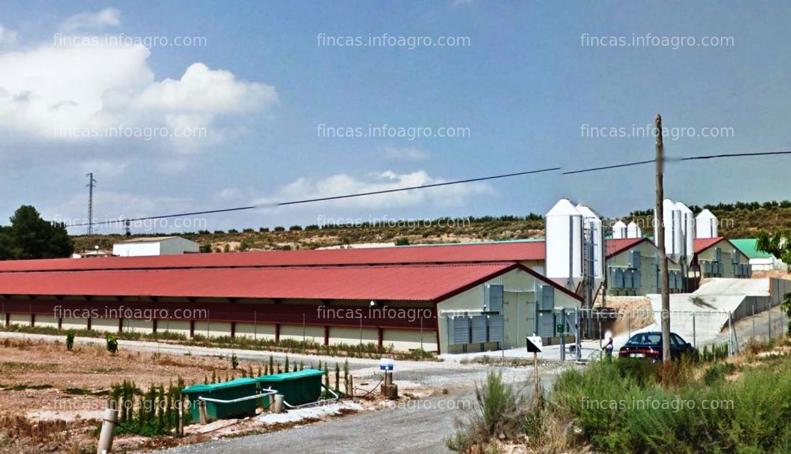 Fotos de A la venta Granja de engorde de pollos en venta, capacidad 150.000 pollos. Ref: RA065