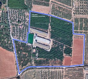 A la venta granja con capacidad para 90.000 gallines de recría. Ref: RA124