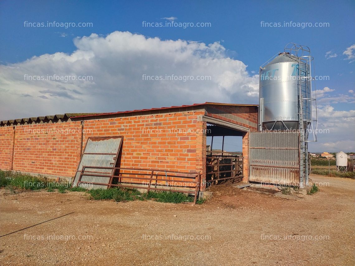 Fotos de En venta  granja con capacidad para 750 terneros en el  Segrià. Ref: RA133