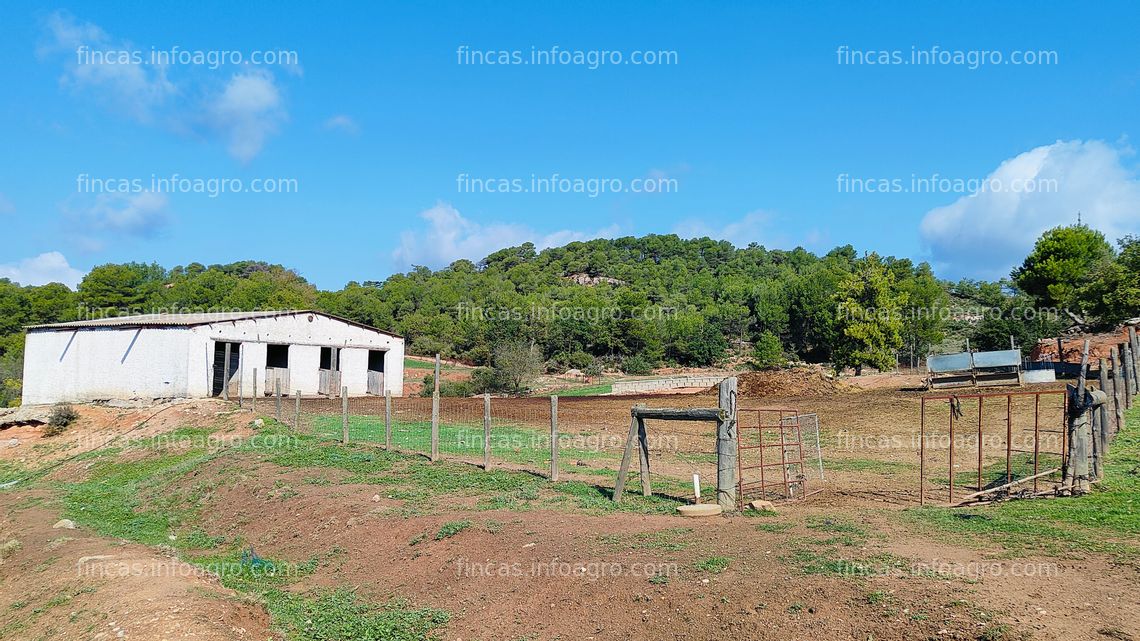 Fotos de A la venta granja con capacidad para 1.000 ovejas, con 83 Ha de terreno y casa rural en Anoia. Ref: RA156.