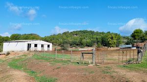 En venta  granja para  1.000 ovejas, con 83 Ha de terreno y casa rural en Anoia. Ref: RA156.