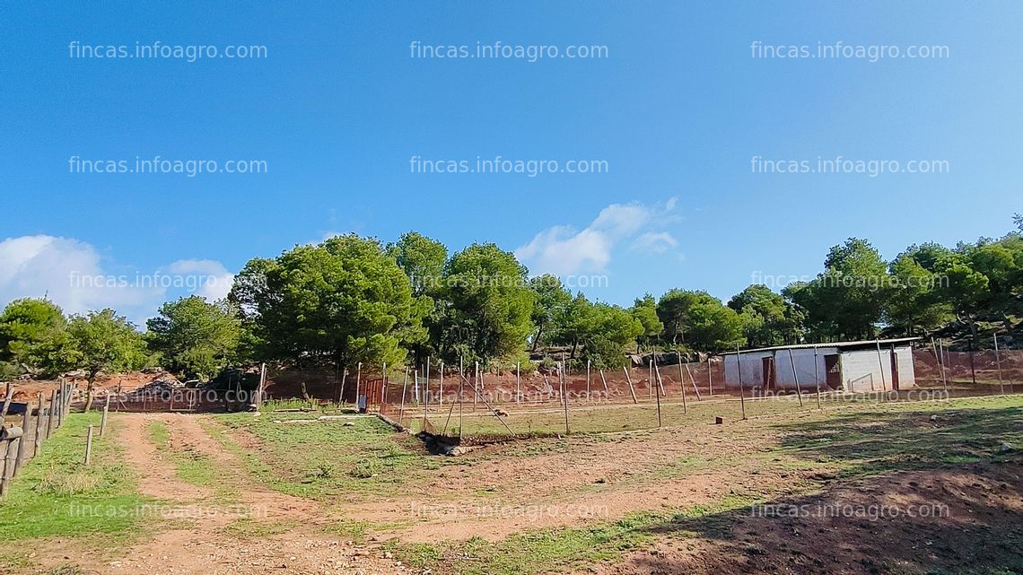 Fotos de A la venta granja con capacidad para 1.000 ovejas, con 83 Ha de terreno y casa rural en Anoia. Ref: RA156.