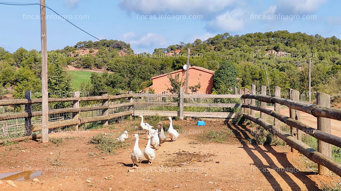 Fotos de A la venta granja con capacidad para 1.000 ovejas, con 83 Ha de terreno y casa rural en Anoia. Ref: RA156.