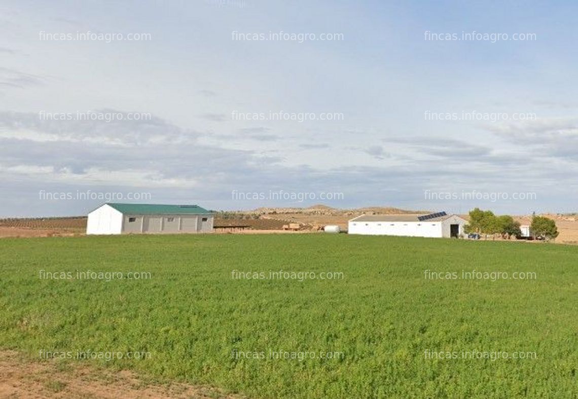 Fotos de En venta  123 Hectáreas de tierra de regadío en Bajo Aragón. Ref. AG148