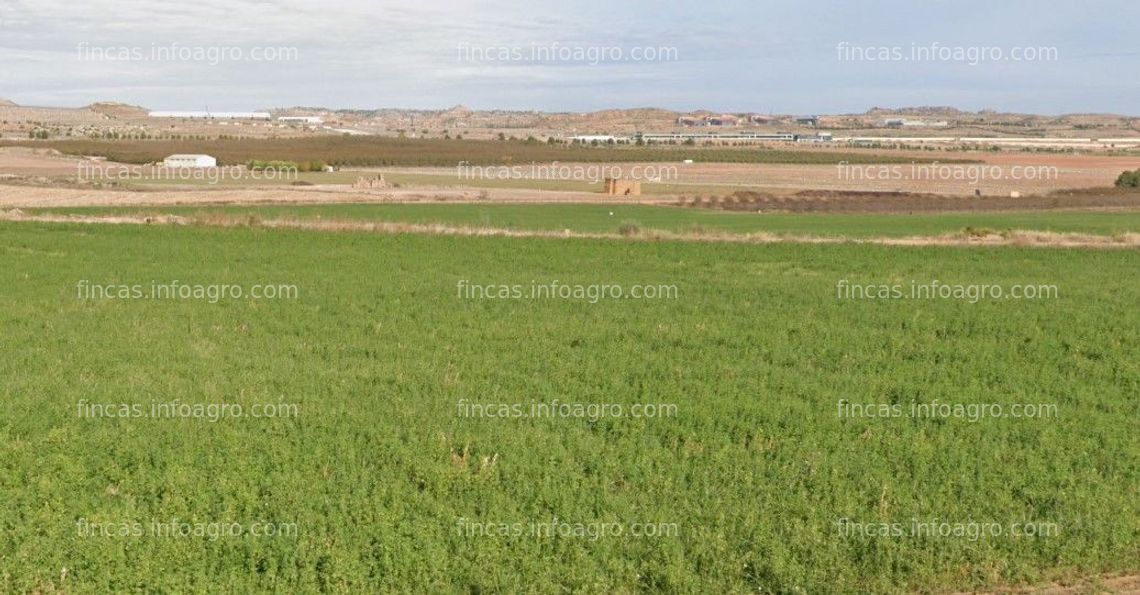 Fotos de En venta  123 Hectáreas de tierra de regadío en Bajo Aragón. Ref. AG148