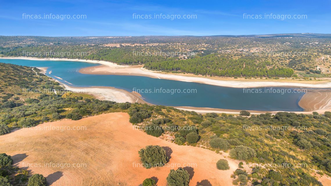 Fotos de Se vende finca de caza, agricola y hotel rural B&B cerca De Ciudad Real