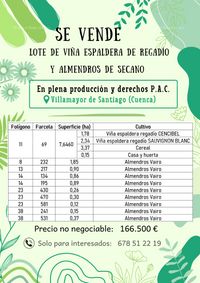 Fotos de En venta  Lote de viña y almendros