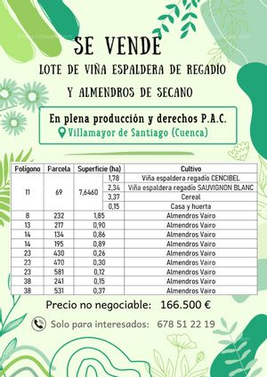 En venta  Lote de viña y almendros