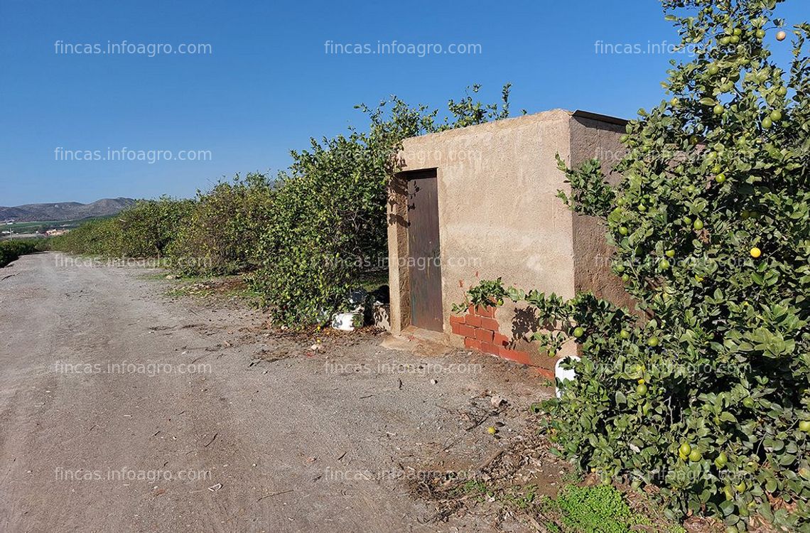 Fotos de A la venta LORCA - Finca Monte Alegre.