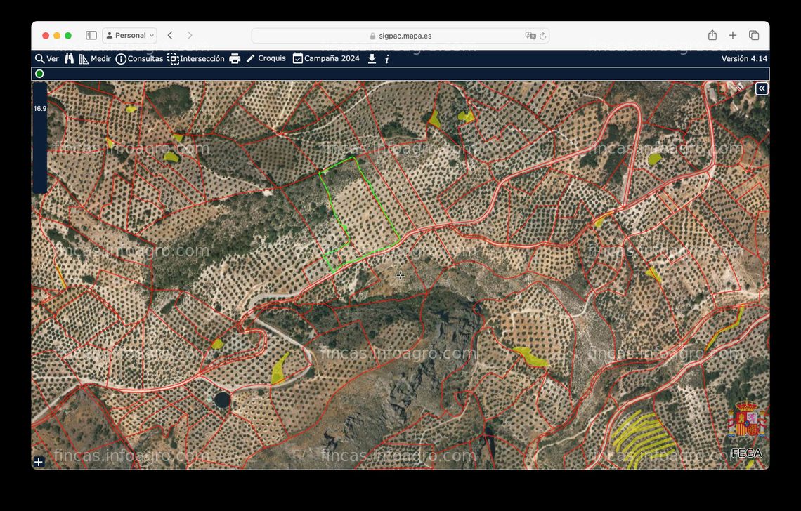 Fotos de A la venta terreno olivar en Carchelejo (Jaén)