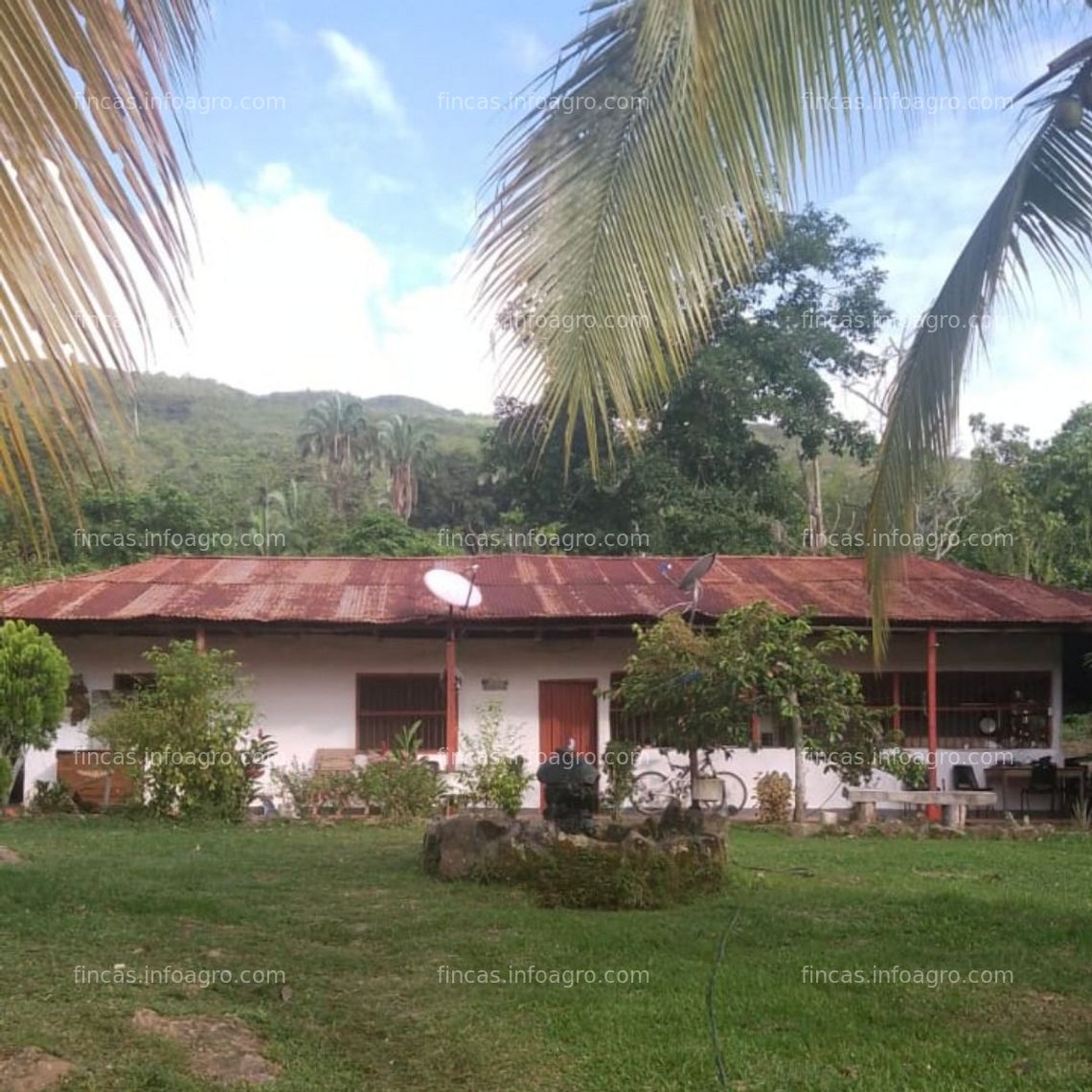 Fotos de Se vende finca Cunday, Tolima, 94 hectáreas, ecoturismo agroganadera, doy barata