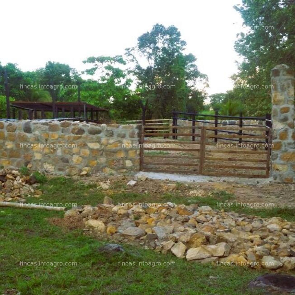 Fotos de Se vende Finca Cunday ecoturismo agroganadera Multiproyecto económica. 94 hectáreas, Vempermuto